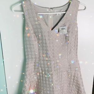 NWT Club Monaco Karla Dress in Pale Pink Design Fit and Flare V Neckline Size 00